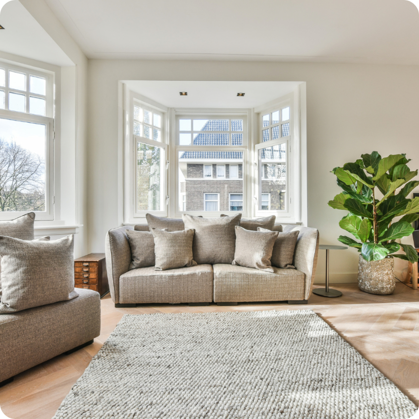 Bright living room with a gray sofa, multiple throw pillows, a large potted plant, and a bay window showing a view of neighboring buildings. Light wood floor and textured rug.