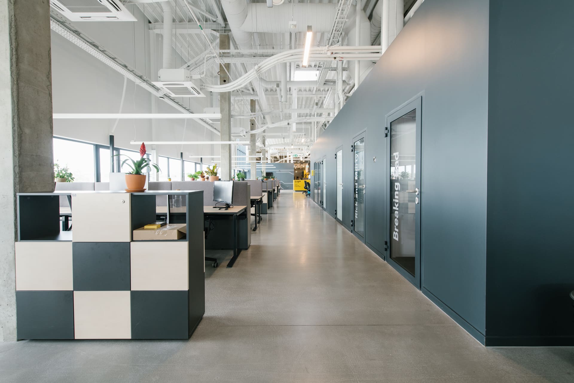 Modern open-plan office with concrete floors, workstations, plants, and enclosed meeting rooms along a dark blue wall. Bright natural light enters through large windows.